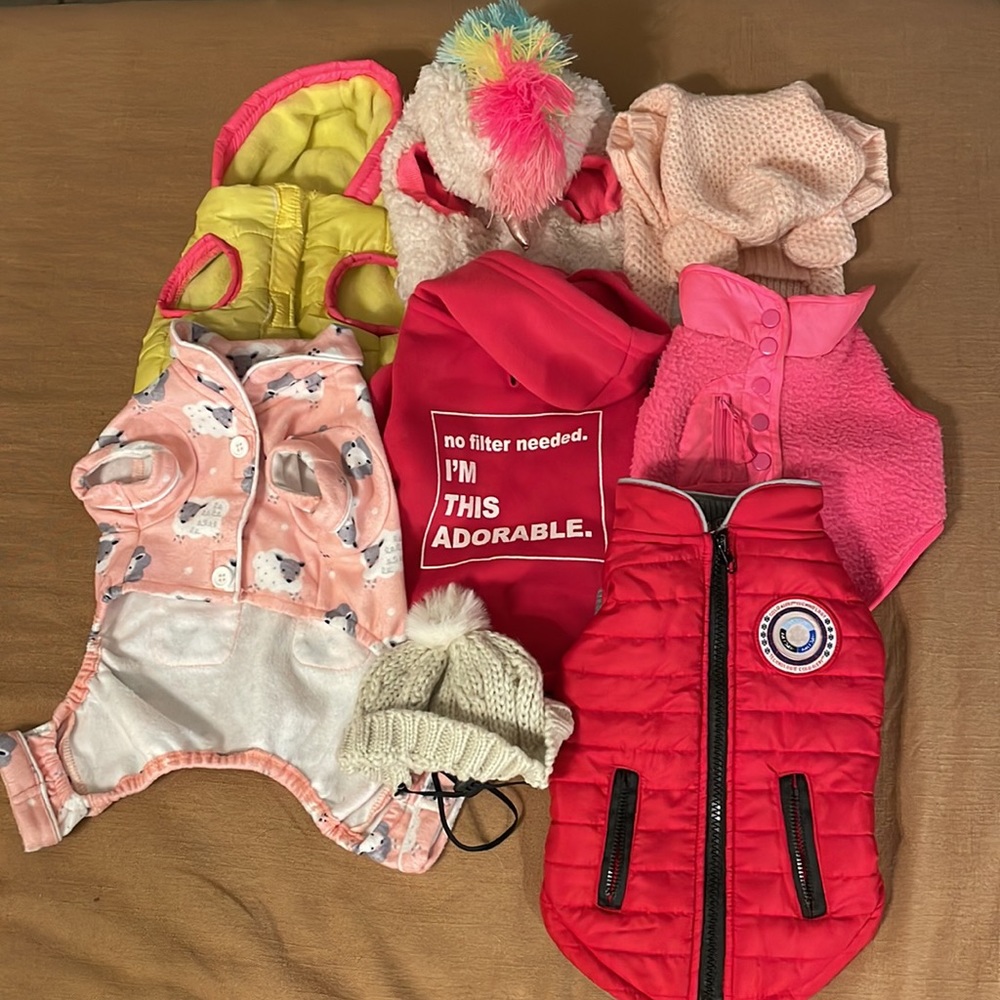 Lot of small clothing🐶 coats, sweaters, pajamas, hat, oh my!